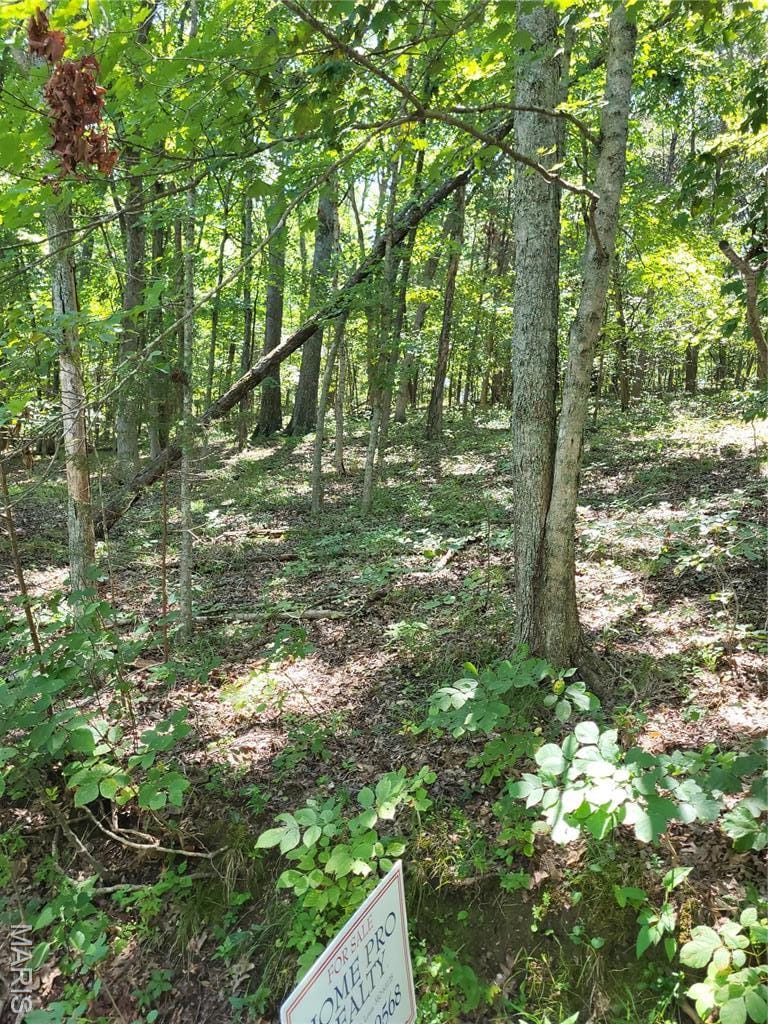 2 Waterfowl Ct, Hillsboro, MO 63050