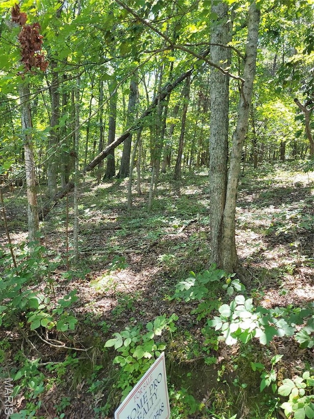 2 Waterfowl Ct, Hillsboro, MO 63050