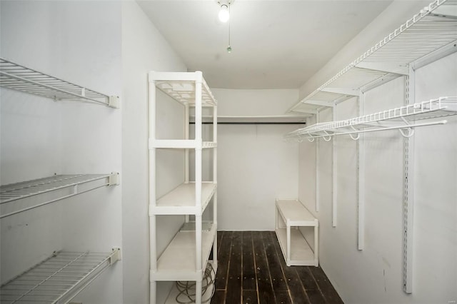 1523 S 10th St Unit 207, Saint Louis, MO 63101 - spacious closet featuring hardwood / wood-style flooring