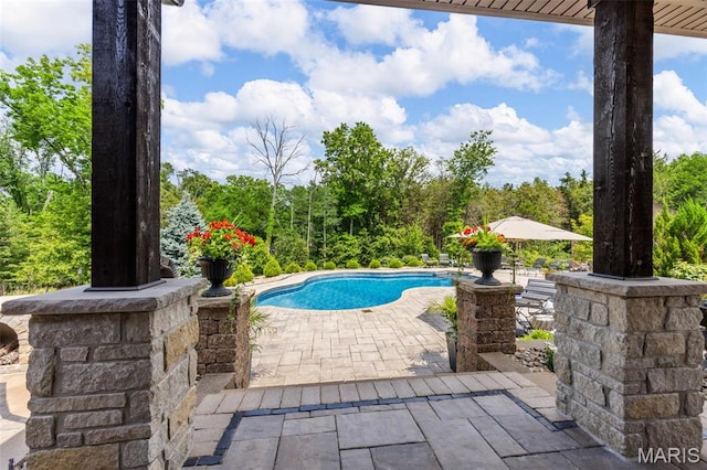 130 Foristell Ridge Ct, Foristell, MO 63348 - outdoor pool with a patio