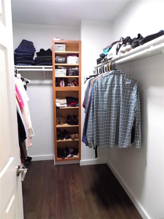 1002 Cypress Dr, Rolla, MO 65401 - walk in closet with wood finished floors