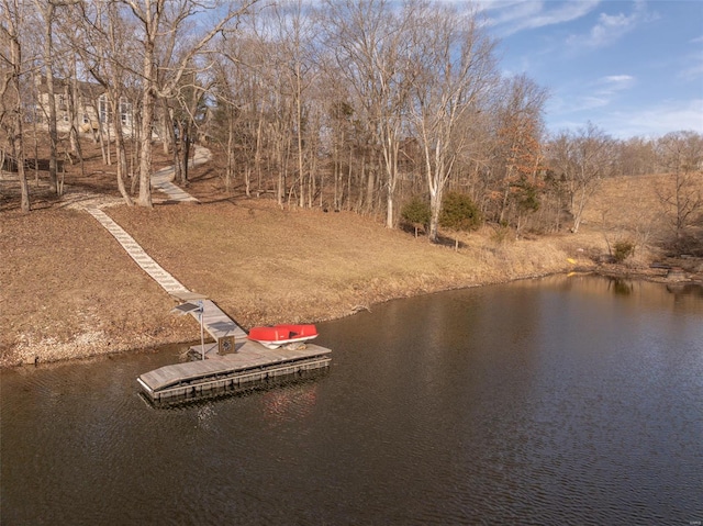 dock with a water view