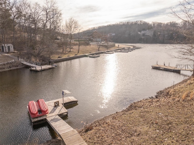 dock featuring a water view