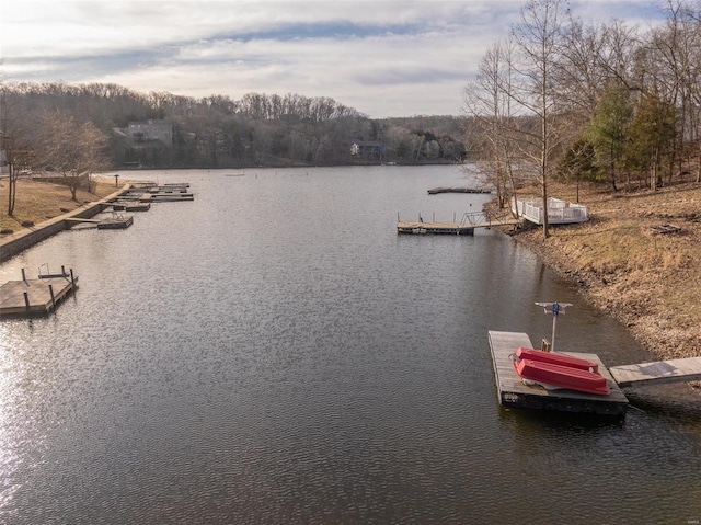 dock area featuring a water view