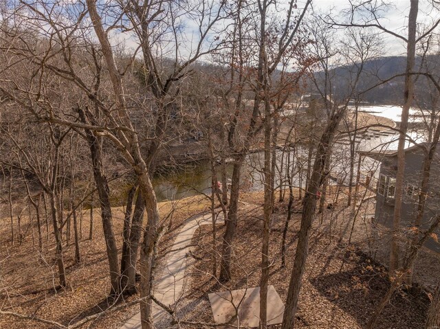 water view featuring a mountainous background
