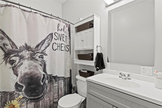 821 N State St, Litchfield, IL 62056 - bathroom with vanity, toilet, and a shower with shower curtain