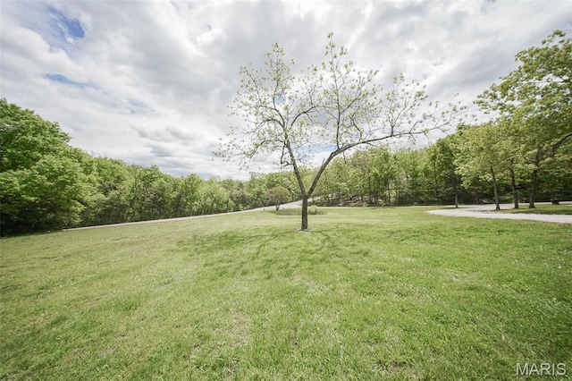 12455 Jefferys Pl, Rolla, MO 65401 - view of green lawn with a forest view