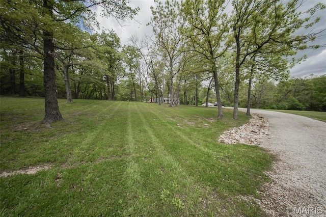12455 Jefferys Pl, Rolla, MO 65401 - view of grassy yard