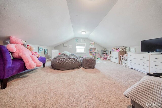 12455 Jefferys Pl, Rolla, MO 65401 - playroom featuring lofted ceiling and carpet floors