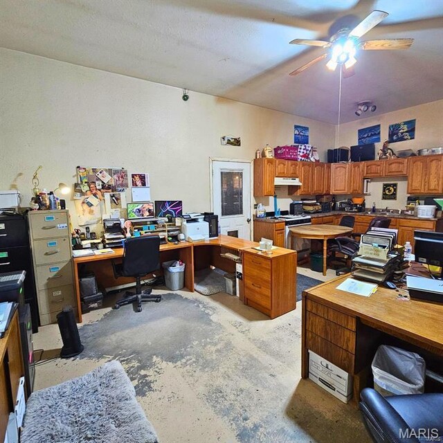 12124 Hamilton Hollow Rd, Sullivan, MO 63080 - office featuring unfinished concrete floors and a ceiling fan