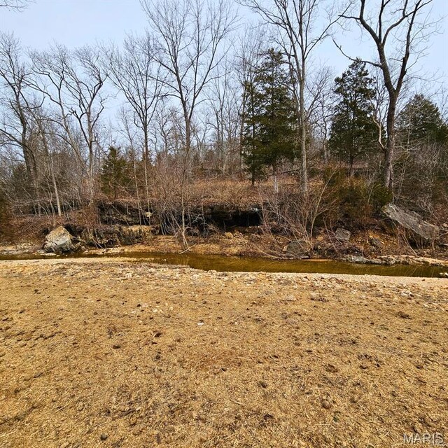 12124 Hamilton Hollow Rd, Sullivan, MO 63080 - view of yard
