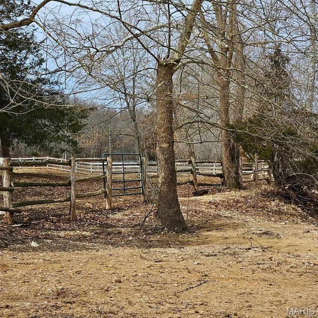 12124 Hamilton Hollow Rd, Sullivan, MO 63080 - view of yard