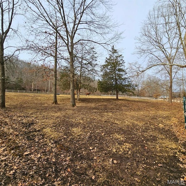 12124 Hamilton Hollow Rd, Sullivan, MO 63080 - view of yard