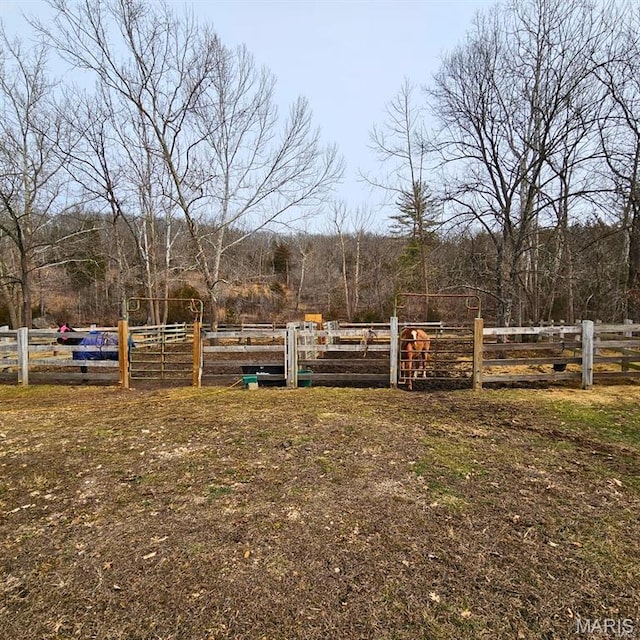 12124 Hamilton Hollow Rd, Sullivan, MO 63080 - view of yard