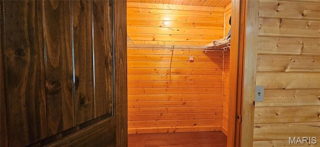 12124 Hamilton Hollow Rd, Sullivan, MO 63080 - view of spacious closet