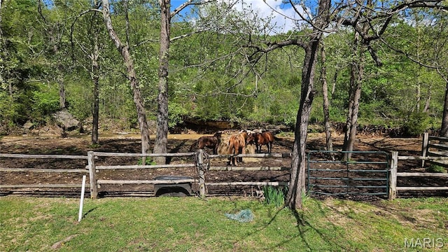 12124 Hamilton Hollow Rd, Sullivan, MO 63080 - view of yard