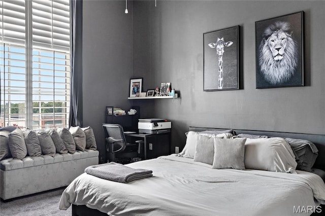bedroom with carpet floors