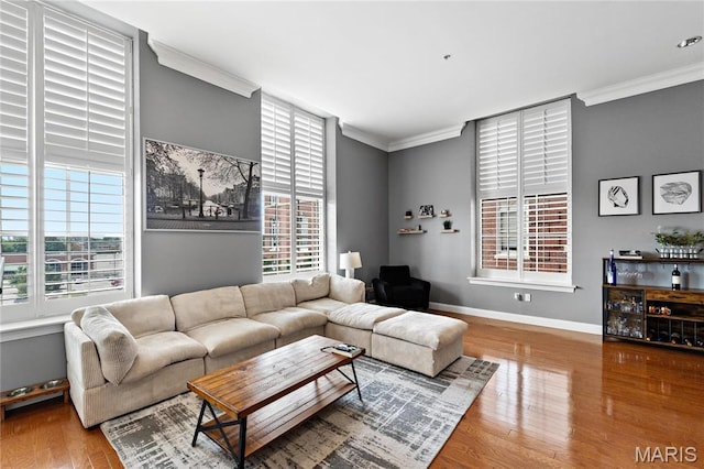 living room with ornamental molding, baseboards, and wood finished floors