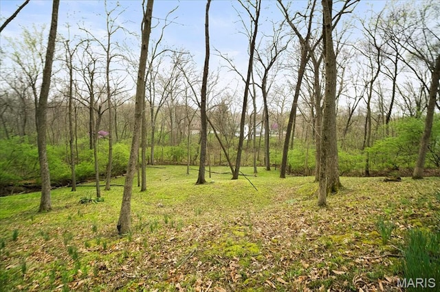1932 Sturfield Ct, Town And Country, MO 63131 - view of undeveloped land