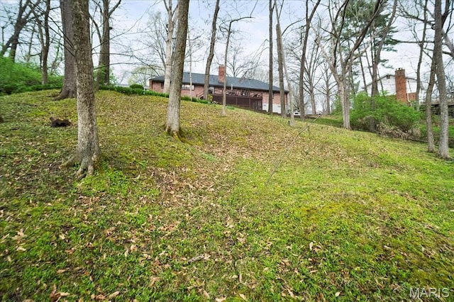 1932 Sturfield Ct, Town And Country, MO 63131 - view of yard