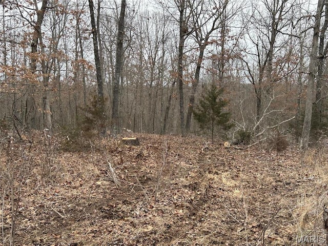 1017 County Road 2403, Salem, MO 65560 - photo 3