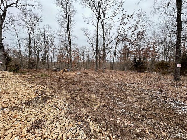 1017 County Road 2403, Salem, MO 65560 - photo 4