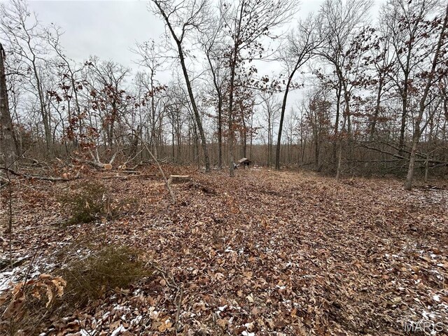 1017 County Road 2403, Salem, MO 65560 - photo 6