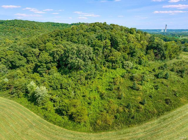 0 Schluersburg Rd, Augusta, MO 63332