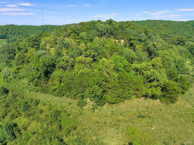 0 Schluersburg Rd, Augusta, MO 63332
