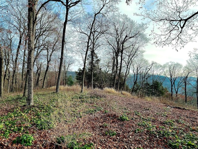 0 Schluersburg Rd, Augusta, MO 63332