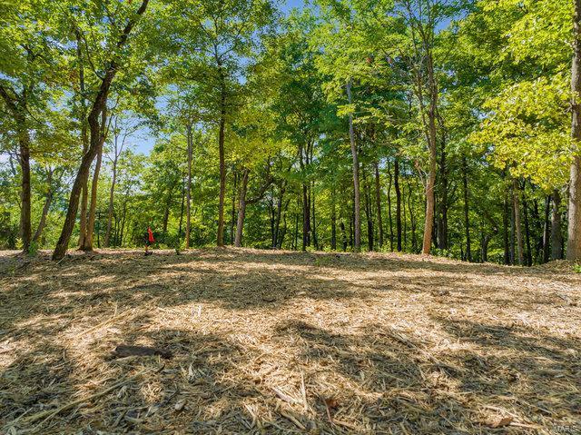 0 Schluersburg Rd, Augusta, MO 63332