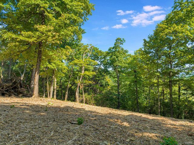0 Schluersburg Rd, Augusta, MO 63332