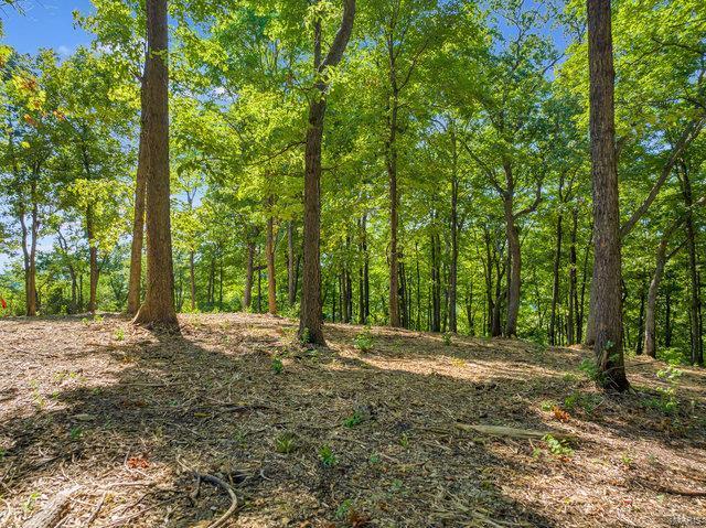 0 Schluersburg Rd, Augusta, MO 63332