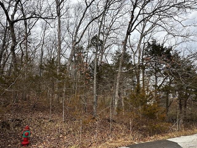 10407 Lake Crest Dr, Hillsboro, MO 63050