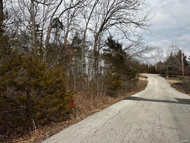 10407 Lake Crest Dr, Hillsboro, MO 63050