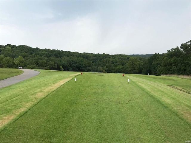 10407 Lake Crest Dr, Hillsboro, MO 63050