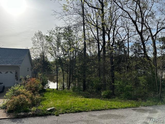 10407 Lake Crest Dr, Hillsboro, MO 63050