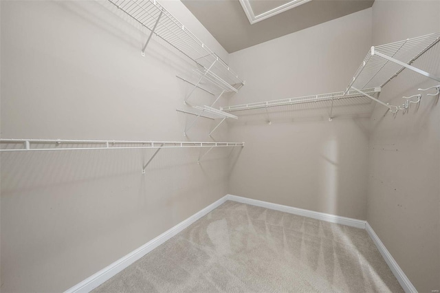 480 Ascot Manor Ct, Fenton, MO 63026 - walk in closet with carpet floors