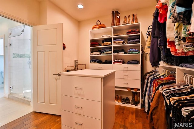 1120 Franklin Ave, Edwardsville, IL 62025 - walk in closet featuring hardwood / wood-style flooring