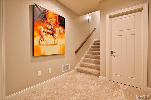 1120 Franklin Ave, Edwardsville, IL 62025 - stairway with carpet flooring and baseboards