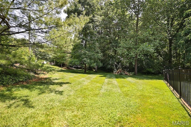 1120 Franklin Ave, Edwardsville, IL 62025 - view of yard