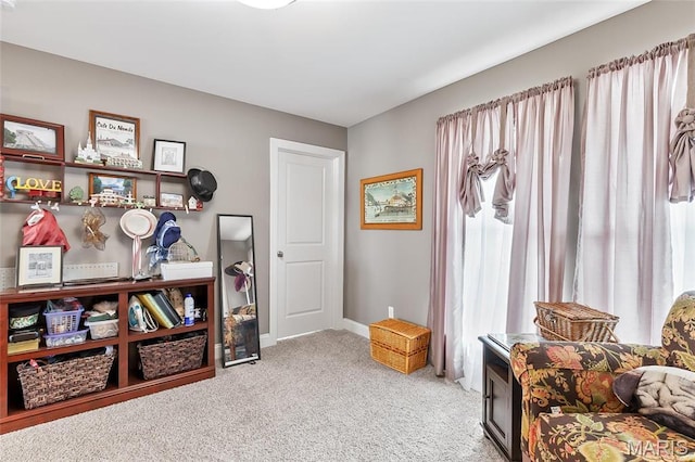 421 Spears St, Saint Louis, MO 63127 - photo 40