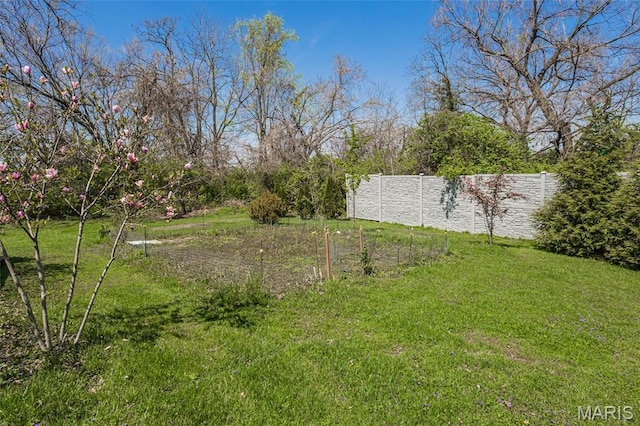 421 Spears St, Saint Louis, MO 63127 - photo 54