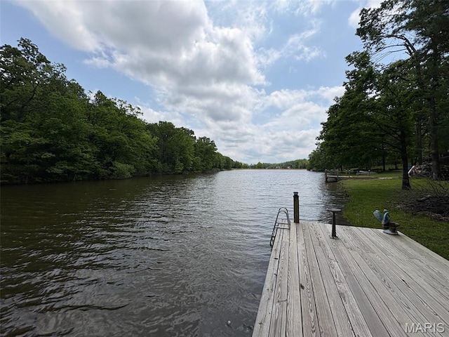 1053 Erie Trail Dr, Perryville, MO 63775 - photo 3
