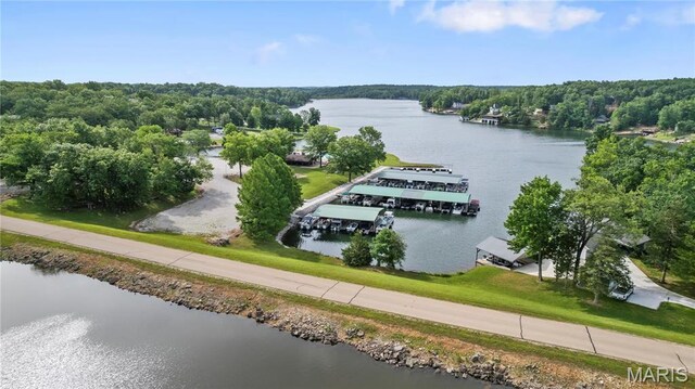 1053 Erie Trail Dr, Perryville, MO 63775 - photo 41