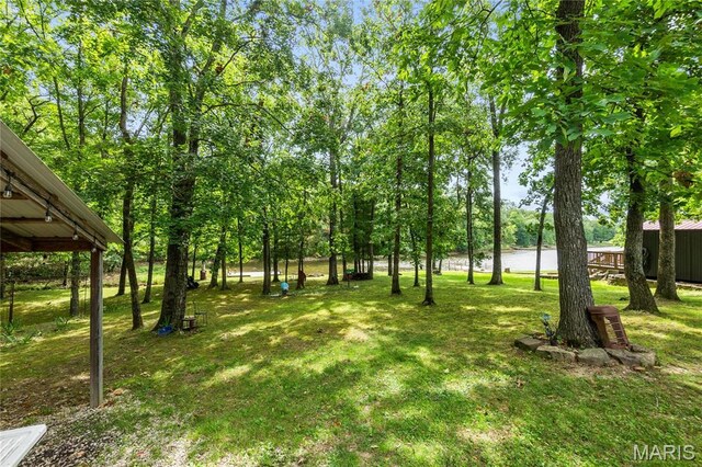 1053 Erie Trail Dr, Perryville, MO 63775 - photo 47