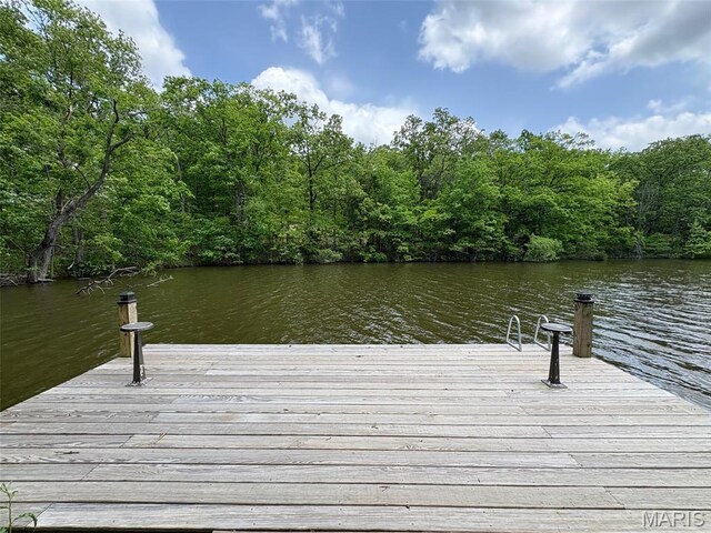 1053 Erie Trail Dr, Perryville, MO 63775 - photo 62