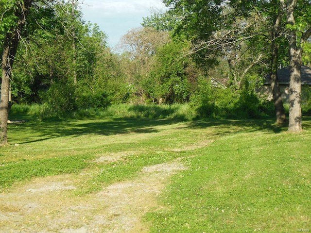 415 N Grand St, Willow Springs, MO 65793 - view of green lawn featuring a wooded view