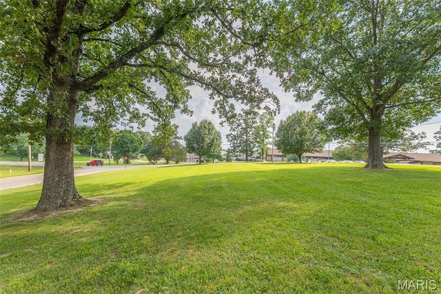 2125 Barron Rd, Poplar Bluff, MO 63901 - view of green lawn