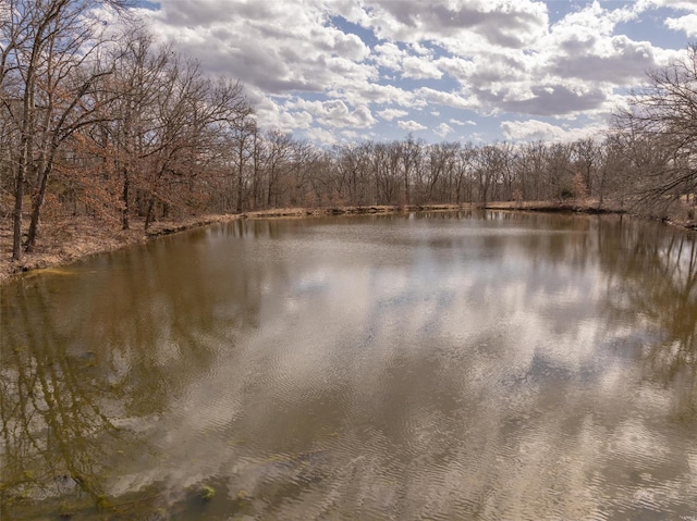 water view with a heavily wooded area
